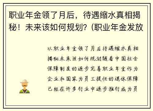 职业年金领了月后，待遇缩水真相揭秘！未来该如何规划？(职业年金发放规定)