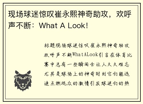 现场球迷惊叹崔永熙神奇助攻，欢呼声不断：What A Look！